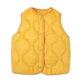 thumbnail image 1 of Boys Girls Winter Puffer Vest Sleeveless Jacket Lined Padded Vest Cute High Neck Vest Down Puffer Vest Fall Winter Outfit Outwear for Toddler Kids 4T, 1 of 5