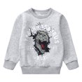 thumbnail image 1 of Boys Gray Sweatshirts 100% Cotton Fall Winter Clothes Long Sleeve Shirts 2T T-rex (198-2), 1 of 5