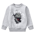 thumbnail image 1 of Boys Gray Sweatshirts 100% Cotton Fall Winter Clothes Long Sleeve Shirts Size 8 T-rex (198-8), 1 of 5