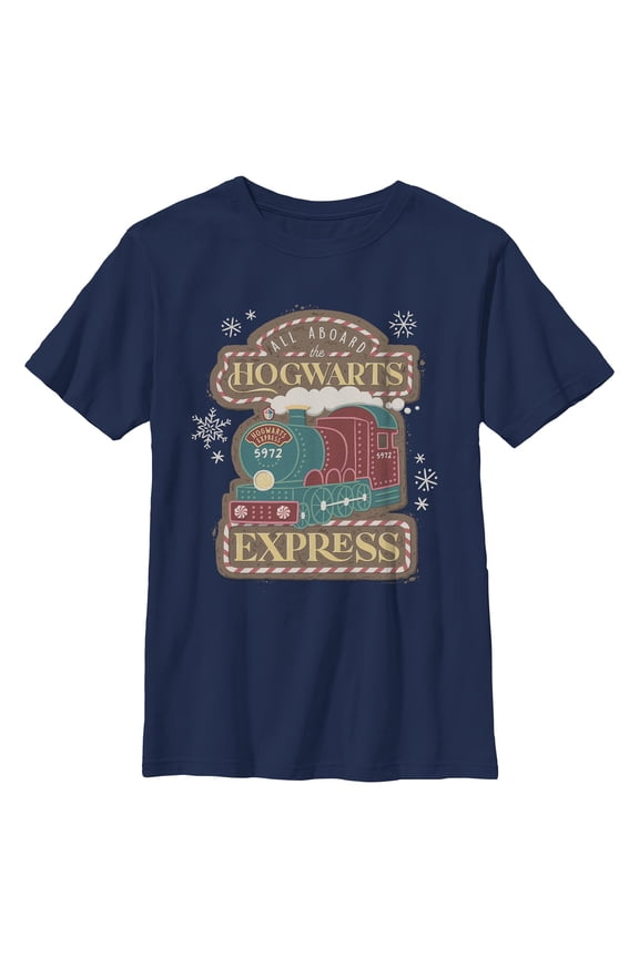 Boys Harry Potter All Aboard Hogwarts Express T Shirt