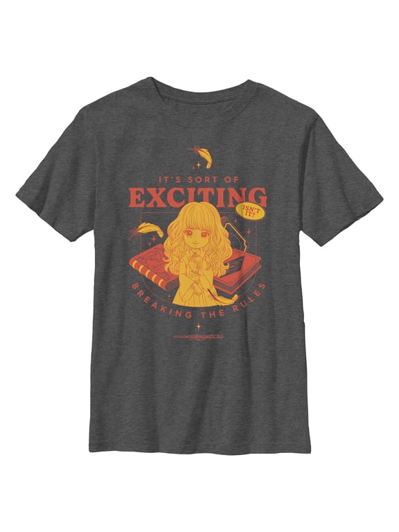 Boys Harry Potter Breaking The Rules T Shirt