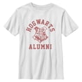 thumbnail image 1 of Boys Harry Potter Hogwarts Alumni T Shirt, 1 of 4