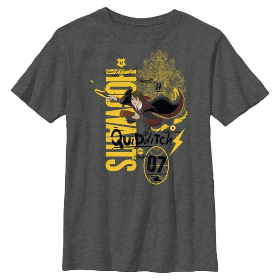 Boys Harry Potter Hogwarts Quidditch 07 T Shirt