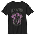 thumbnail image 1 of Boys Harry Potter and the Philosopher's Stone Hogwarts Gryffindor T Shirt, 1 of 5