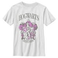 thumbnail image 1 of Boys Harry Potter and the Philosopher's Stone Hogwarts Gryffindor T Shirt, 1 of 4