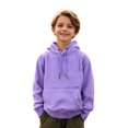 thumbnail image 1 of Boys Hoodies Purple Hoodie Long Sleeve Pullover Tops Winter Clothes Boys 6-8 Years Clothes Boys Girls Fashion, 1 of 5