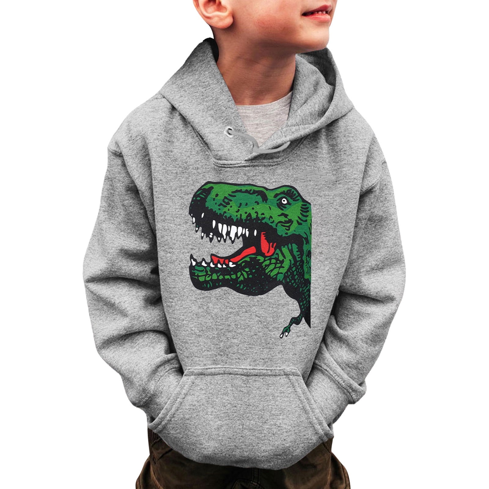 Boys Green Dinosaur Graphics Hoodies Sweatshirt