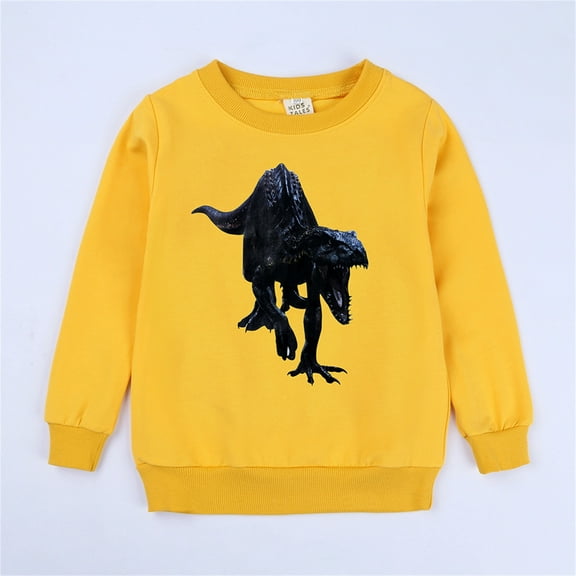 Boys Hoodies and Sweatshirts Unisex Cartoon Animals Dinosaur Printed Pullover for Kids Toddler Sweatshirt Hoodie