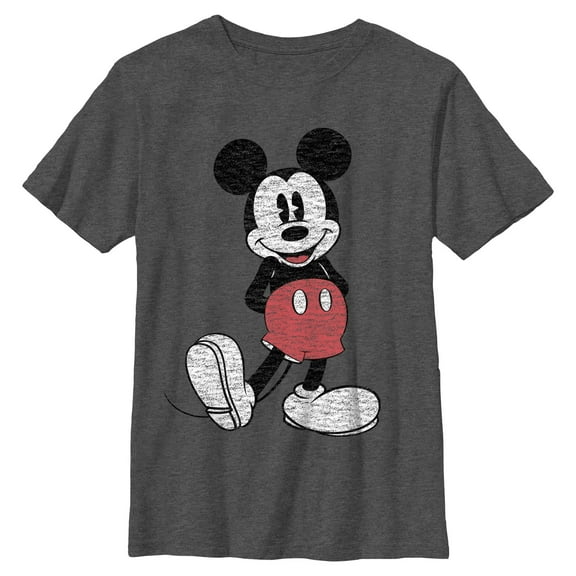 Boys Mickey & Friends Distressed Icon Pose T Shirt