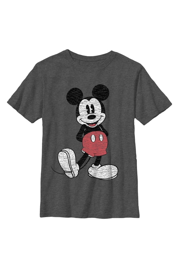 Boys Mickey & Friends Distressed Icon Pose T Shirt