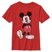 Boys Mickey & Friends Distressed Icon Pose T Shirt