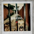 thumbnail image 1 of Boys Night Out - Black Dogs - Music & Performance - Vinyl, 1 of 1