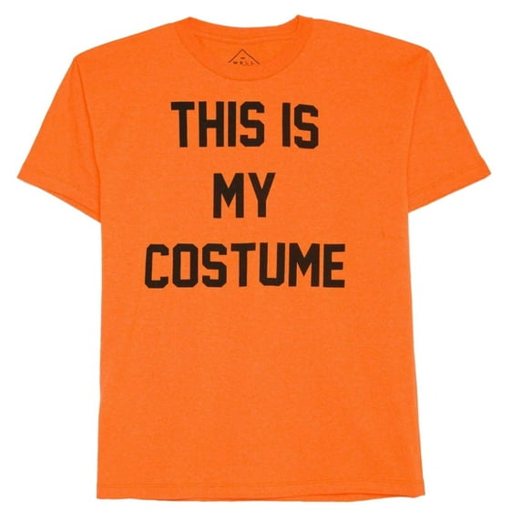 Boys Orange Halloween T-Shirt This is My Costume Tee Shirt Small
