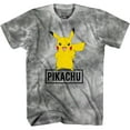 thumbnail image 1 of Pokemon Big Boys Charizard Short Sleeve T-Shirt - Pokemon Gotta Cath 'EM All Group T-Shirt, 1 of 7