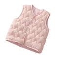 thumbnail image 1 of Boys Puffer Vest Tween 8-12t Wave Quilted Button Up Sleeveless Down Jacket Liner Solid Winter Warm Kids Clothing, Pink, 10 Years, 1 of 1