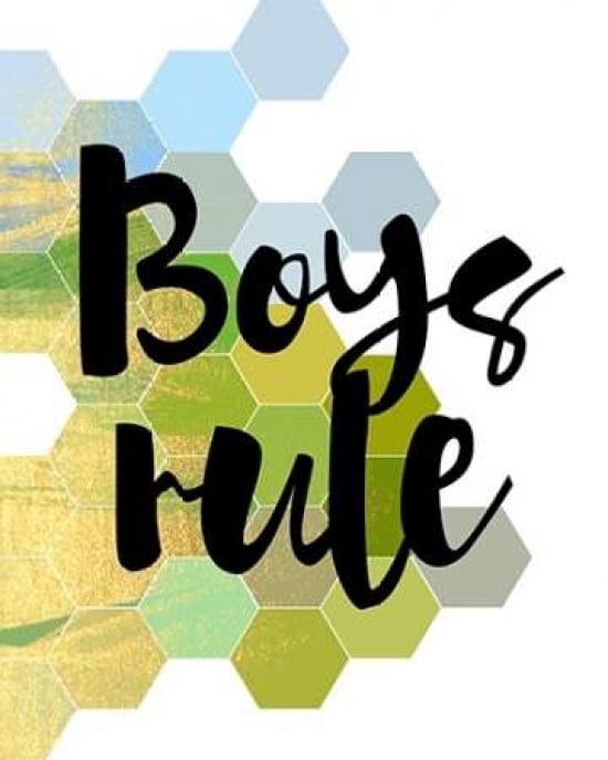 Boys Rule Canvas Art - Amy Cummings (24 x 30)