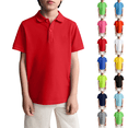 thumbnail image 1 of Boys School Uniform Short Sleeve Stain Guard Polo Shirt Red 130, 1 of 5
