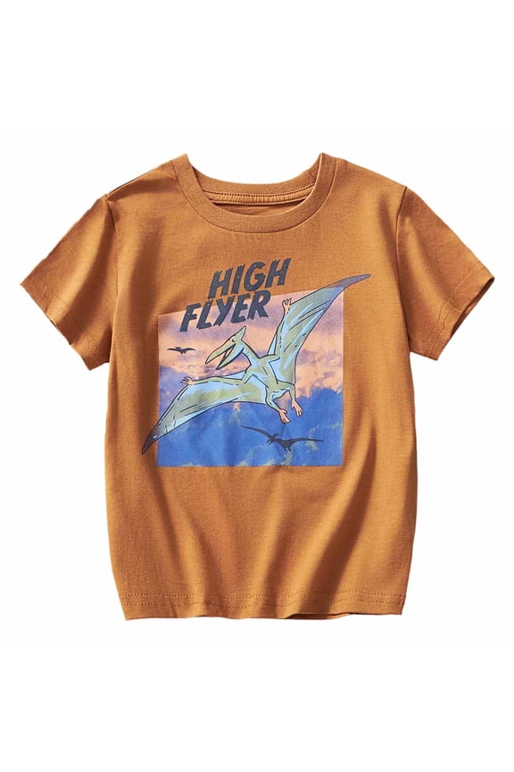 Boys Shirts T Shirt Toddler Girls Dinosaur Hipster Cool Printed Short Sleeve Crew Neck Kids Birthday Boy Shirt Clothes