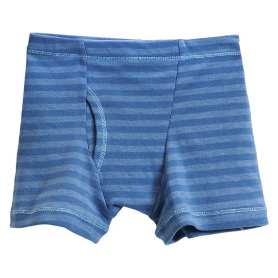 Boys Soft Stripe Boxer Brief | Smurf Blue