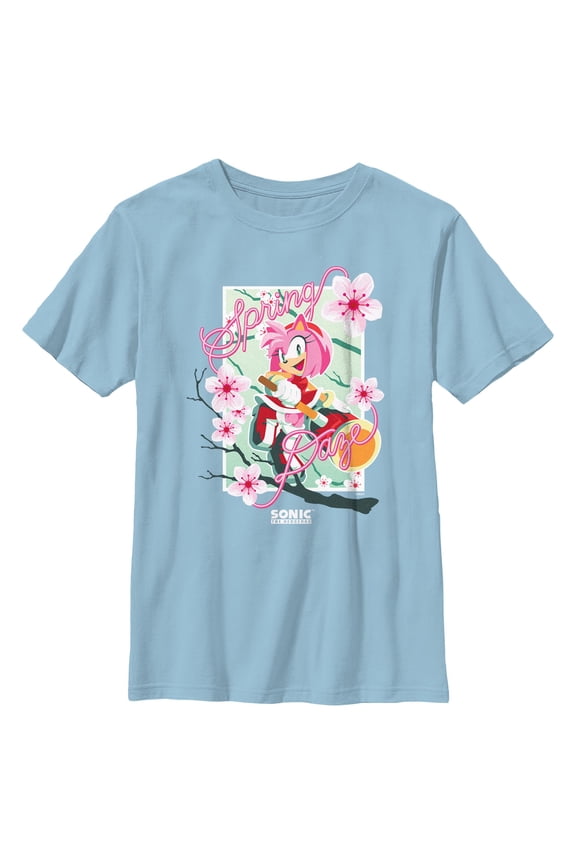 Boys Sonic the Hedgehog Spring Daze Amy T Shirt