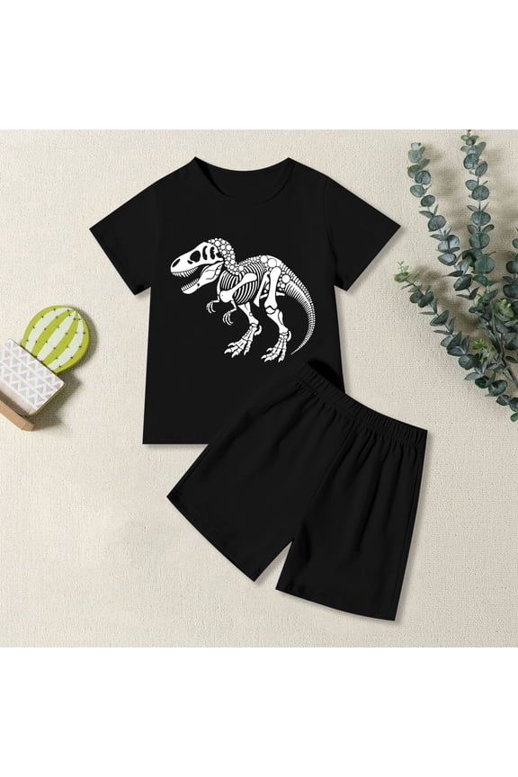 Boys Summer Outfits Size 3-4Y Crew Short Sleeve Cartoon Dino Top with Shorts Kids Casual Daily 2 Piece Set Toddler Boy Clothes