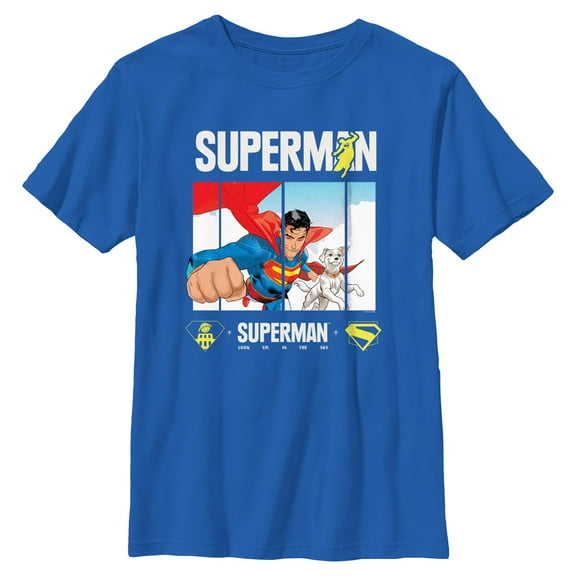 Boys Superman Best Friends Panel T Shirt