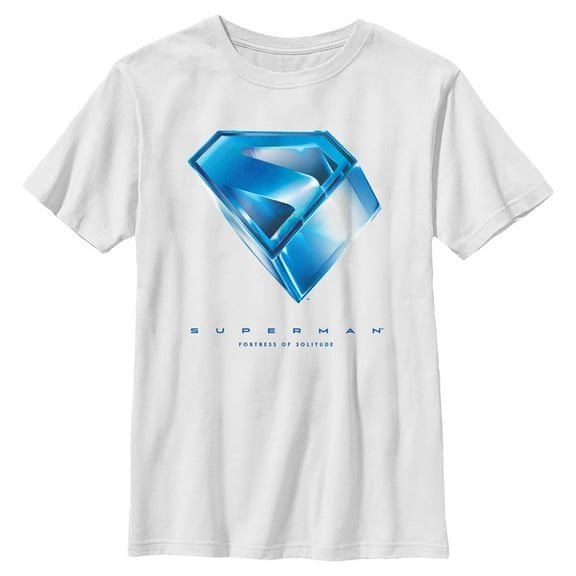Boys Superman Fortress of Solitude Symbol T Shirt