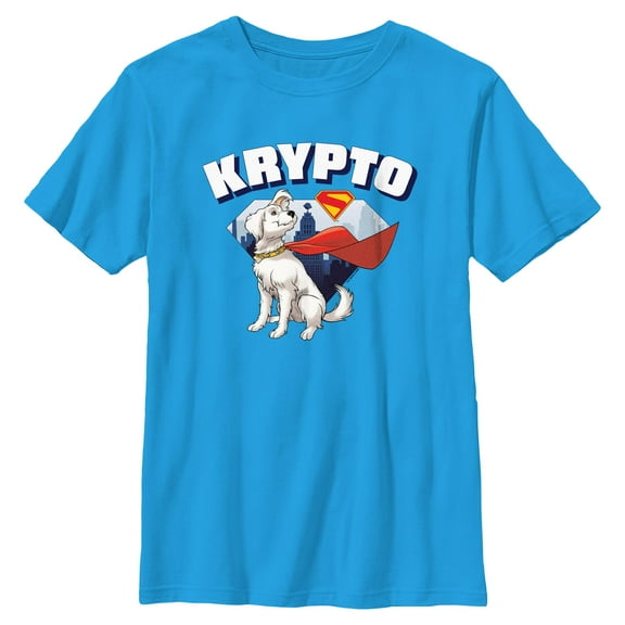Boys Superman Krypto Hero T Shirt