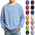 thumbnail image 1 of Boys Sweatshirt Crewneck Pullover Long Sleeve Solid Fleece Tops Fall Clothes, 1 of 5