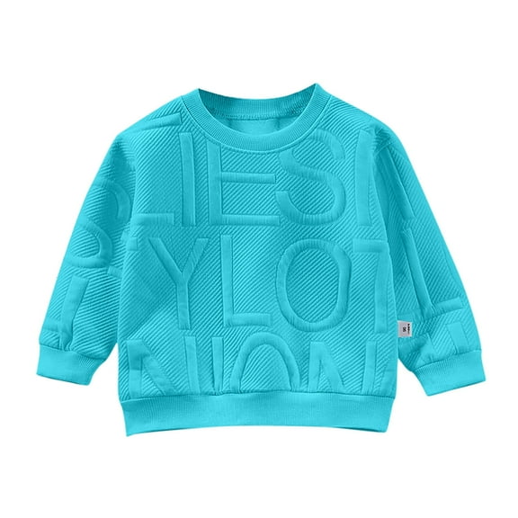 Boys Sweatshirts Little Kids Crewneck Long Sleeve Letter Embroidery Pullover Tops Clothes Girls Hoodie Blue 18 Months-24 Months