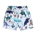 thumbnail image 1 of Boys Swim Trunks Kids Baby Boys Dinosaur Print Board Short Quick Dry Swimming Trunks Beach Swimwear Swim Shirts for Boys White 3 Years-4 Years, 1 of 6
