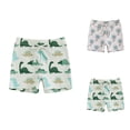 thumbnail image 1 of Boys Swim Trunks Printed Beach Swim Shorts Quick Dry Lightweight Swimwear for Surf Vacation Summer Beach Activities, 1 of 3