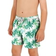 thumbnail image 1 of Boys Swim Trunks Quick Dry Board Shorts with Mesh Lining Elastic Waist Drawstring Printed Bathing Suits Summer Beach Pool Vacation Swimwear for Kids, 1 of 7