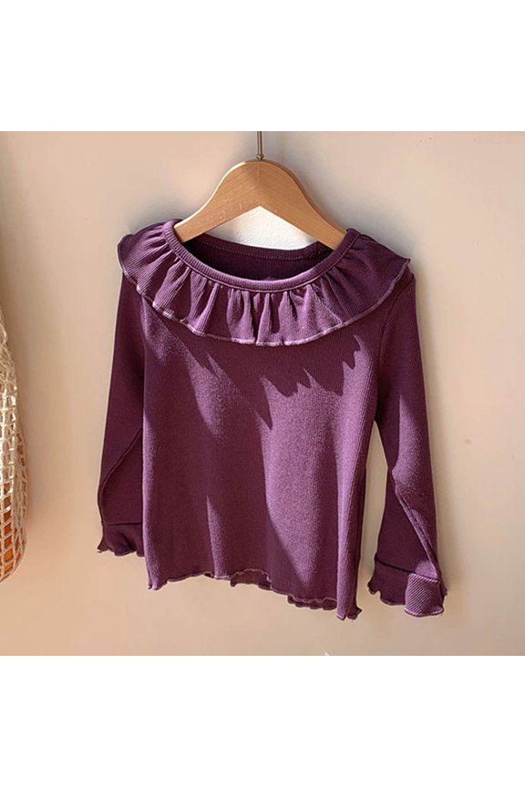 Boys T Shirts Purple Long Sleeve Shirt Boys Crewneck Comfort Colors Boy Shirts Size 3-4 Years