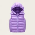 thumbnail image 1 of Boys and Toddlers' Lightweight Water-Resistant Packable Hooded Puffer Vest Ndbuld Children's Solid Color Hooded Zipper Warm Sleeveless Top Mid Size Children's Casual Jacket Purple 3 Years, 1 of 7