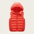 thumbnail image 1 of Boys and Toddlers' Lightweight Water-Resistant Packable Hooded Puffer Vest Ndbuld Children's Solid Color Hooded Zipper Warm Sleeveless Top Mid Size Children's Casual Jacket Orange 11 Years, 1 of 7