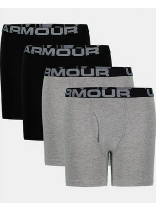 Under Armour Women's UA Pure Stretch Hipster 3-Pack Underwear
