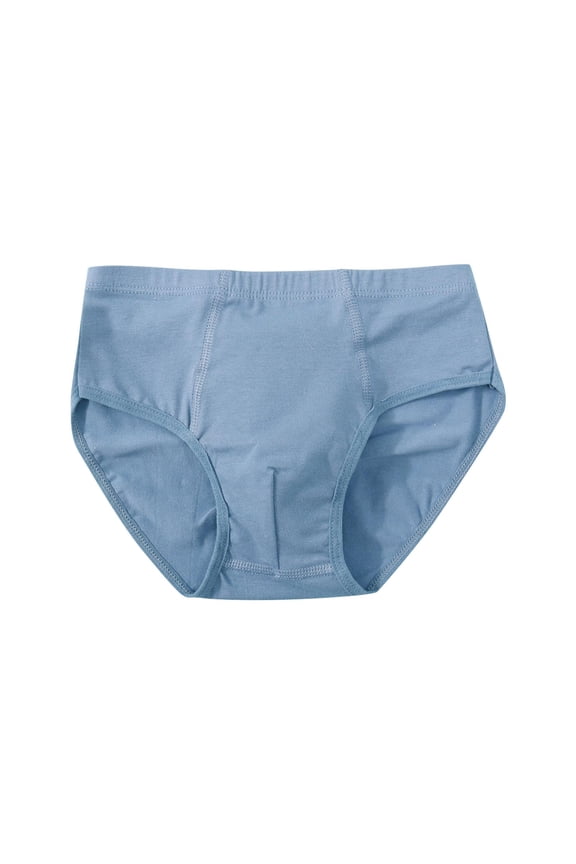Boys' Underwear 100% Cotton High Waist Briefs - Soft Comfort Fit for Toddler to Big Kids (S-XL), 1-Pack, Blue,Size L