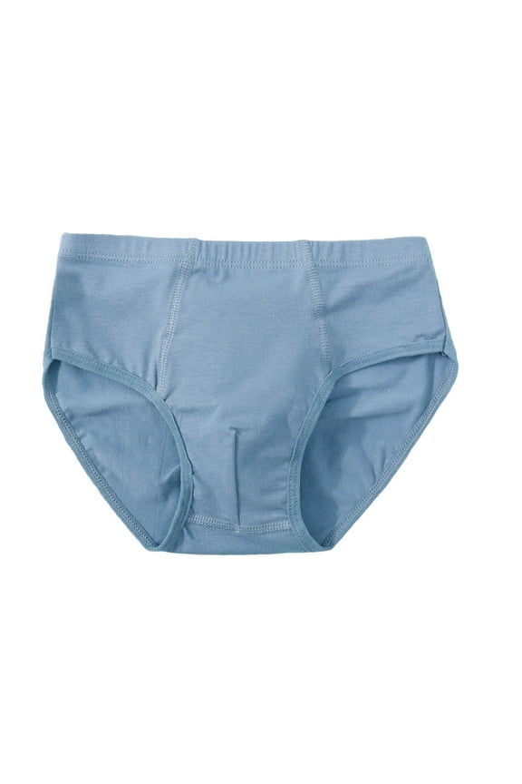 Boys Underwear Briefs Solid Color Comfortable Breathable Underpants Elastic Waist Lightweight Classic Blue Boys Boxers Sizes 3-4