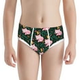 thumbnail image 1 of Boys Underwear - Pink Sleeping Fox Cotton Breathable Comfort Boy's Underwear Briefs, Soft Stretch Cute Underwear Panties for Teen Boys and Toddlers, 1 of 7