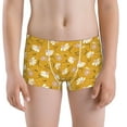 Boys Underwear Stretch Moisture, Daisies Flowers Petal Wicking Fabric