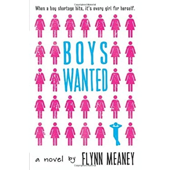 Pre-Owned Boys Wanted (Paperback) 0316206407 9780316206402