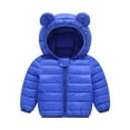 thumbnail image 1 of Boys Winter Hooded Jacket Outdoor Windproof Insulated Warm Coat for Toddler Kids, 1 of 3