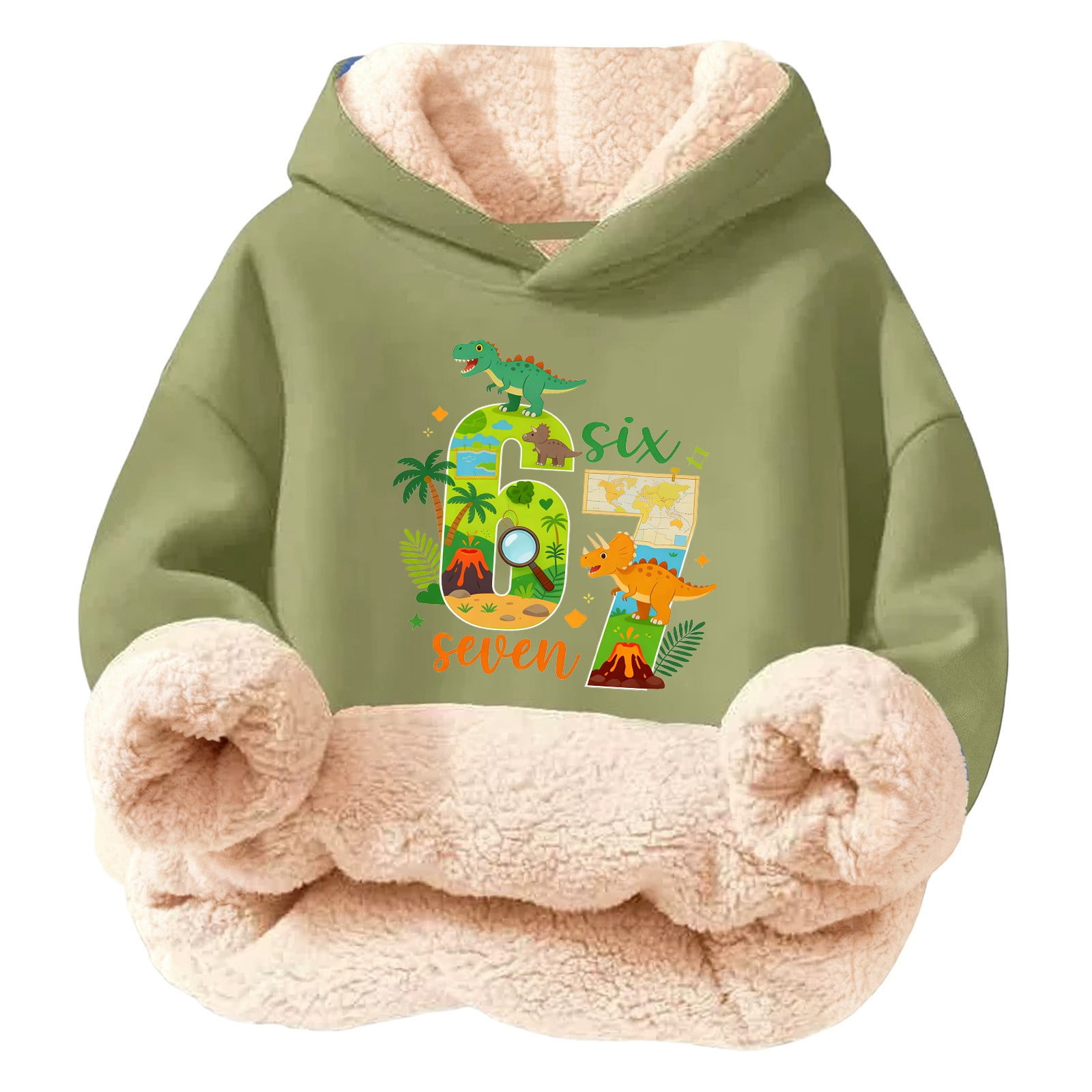 Boys Graphic Applique Hooded Pullover Sweatshirt