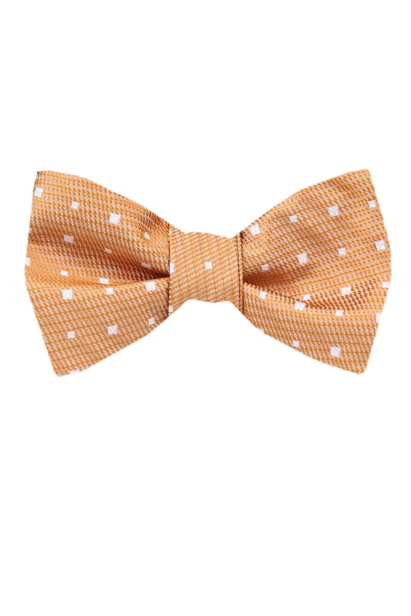 Boys and Youth Pre Tied Bow Tie Many Colors and Pattern Available