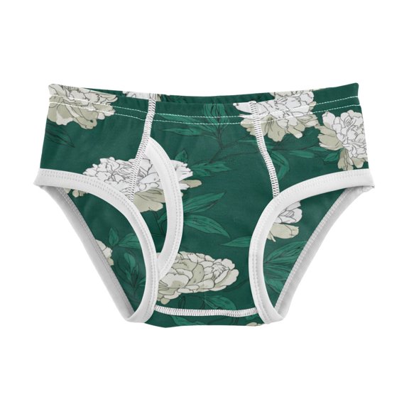 Boys cotton triangle briefs safety standard comfortable and breathable children's underwear Lush Gardenias