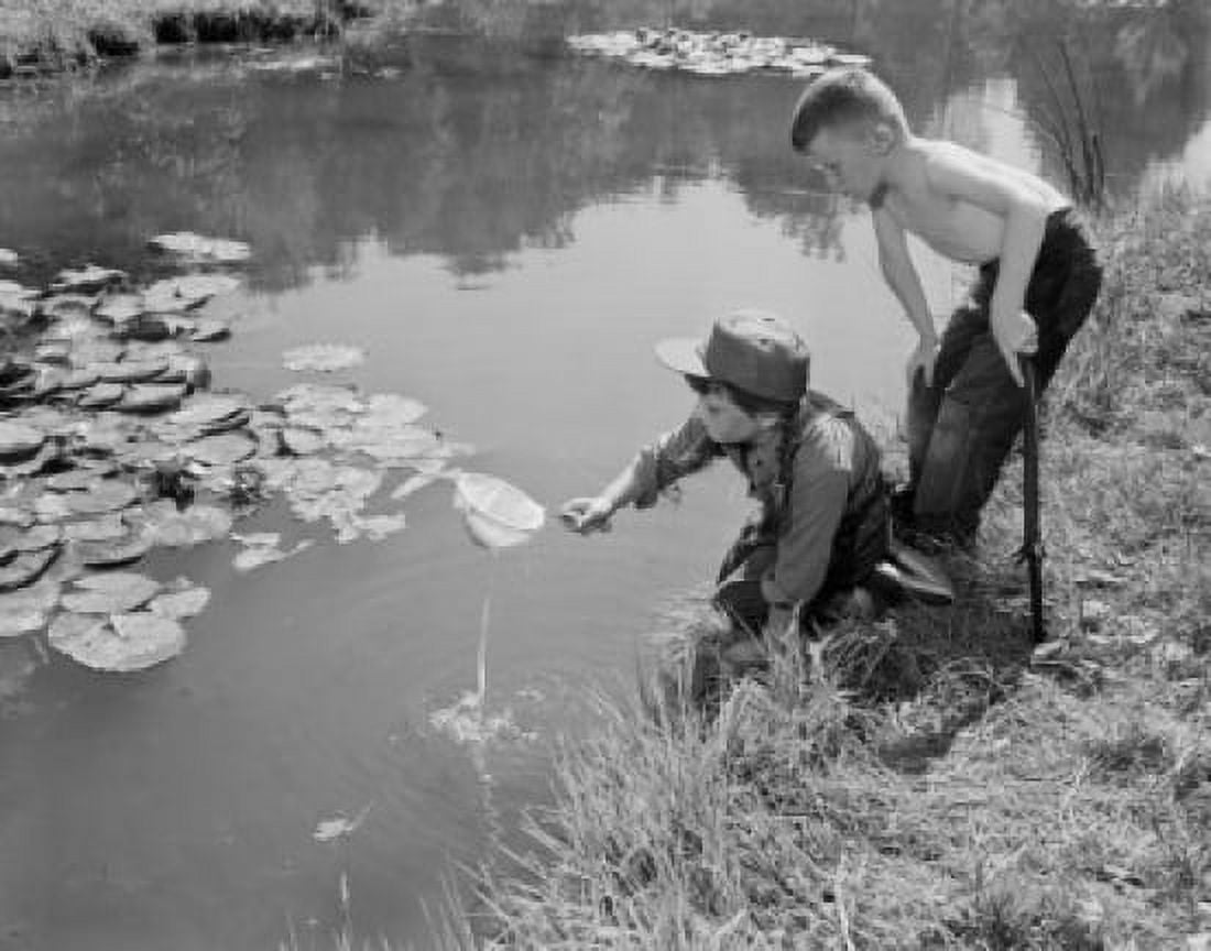 Boys hunting for tadpole Canvas Art - (24 x 36)