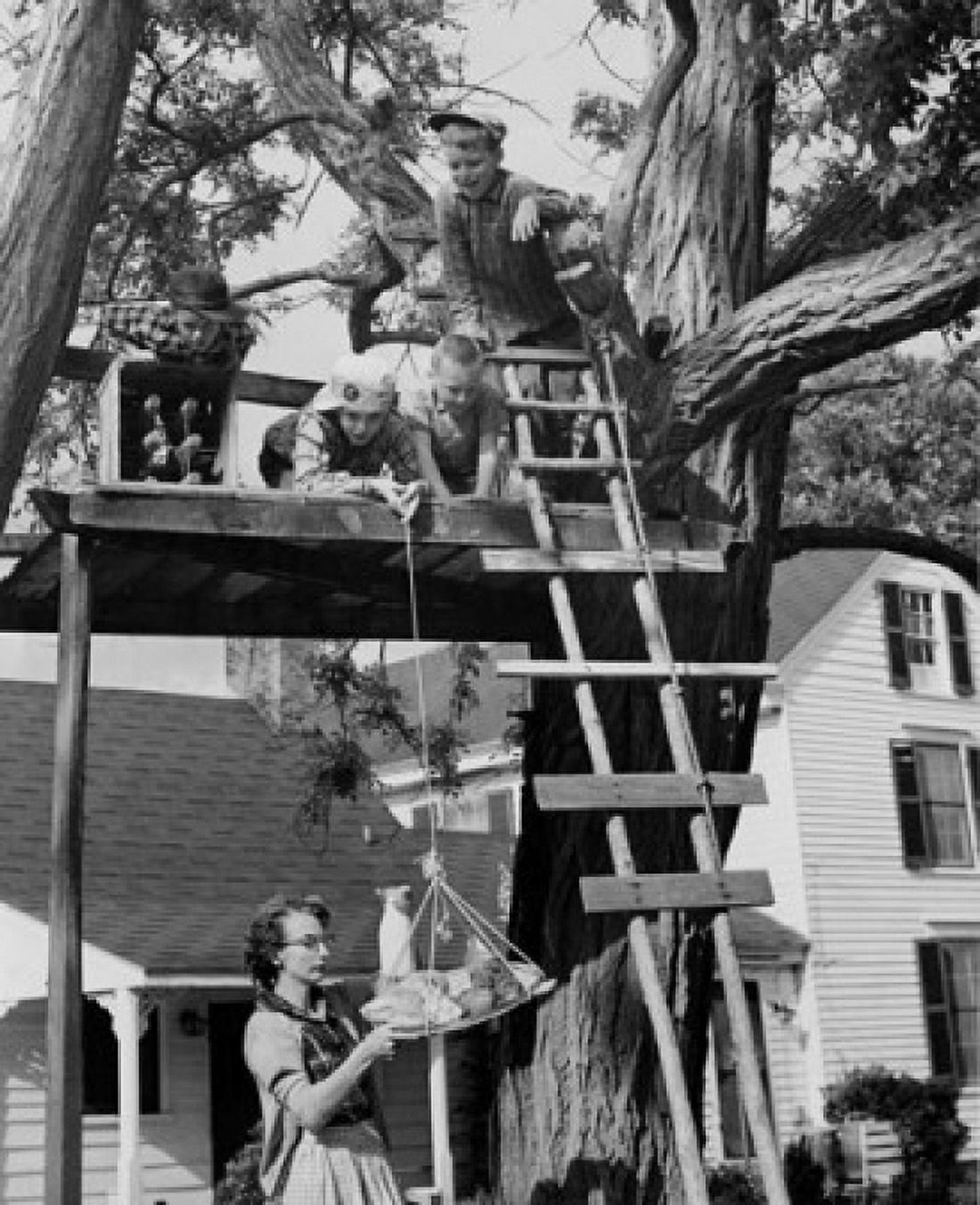 Boys pulling food up to tree house with rope Canvas Art - (18 x 24)