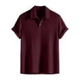 thumbnail image 1 of Boyscolos Men's Solid Color Turndown Collar Button Pullover Short Sleeve Knit Sweater, Breathable Casual Tops Wine M, 1 of 4