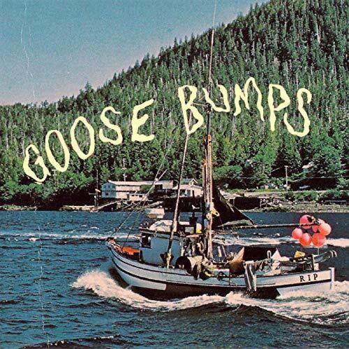 Boyscott - Goose Bumps - Music & Performance - CD
